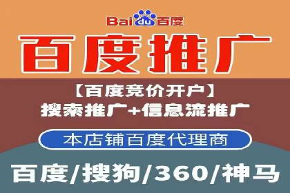 SEM代理助力品牌：案例解析与优化策略